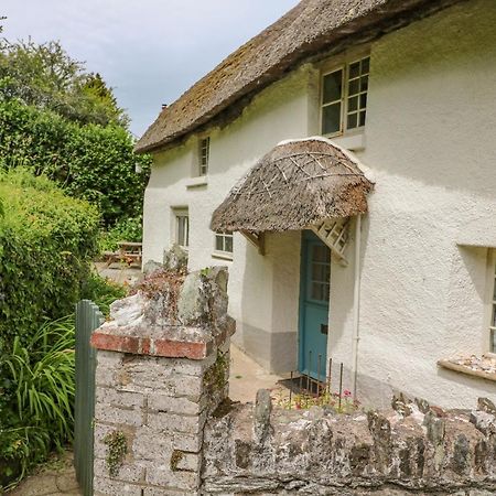 Elworthy Cottage Salcombe Exterior foto